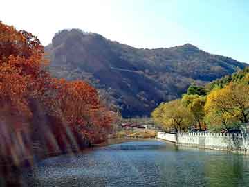 昌平酥梨采摘最新动态与市场价格解析