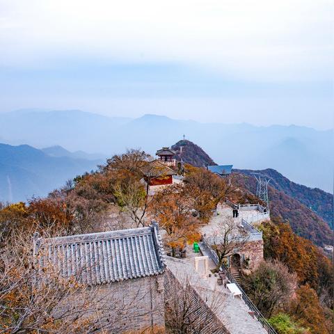 淡泊以明志，宁静以致远